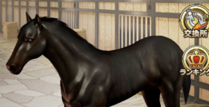 アカルイサカミチ